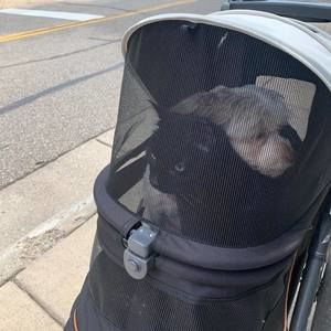 Meet your Posher, Teresa